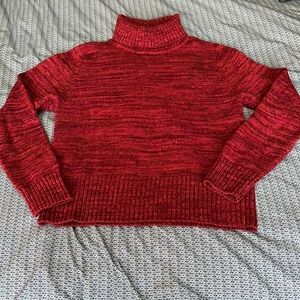 Jeanne Pierre Cotton turtleneck sweater